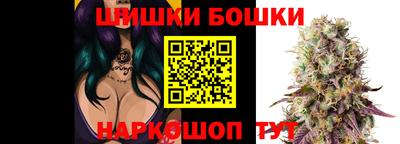 прущие крисы Новозыбков